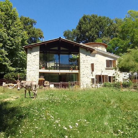 Les Favouilles - Gite & Chambres D Hotes Dauphin Εξωτερικό φωτογραφία